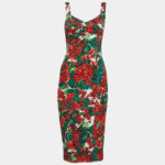 Women's Red Geranium-print Pannelled Midi Dress